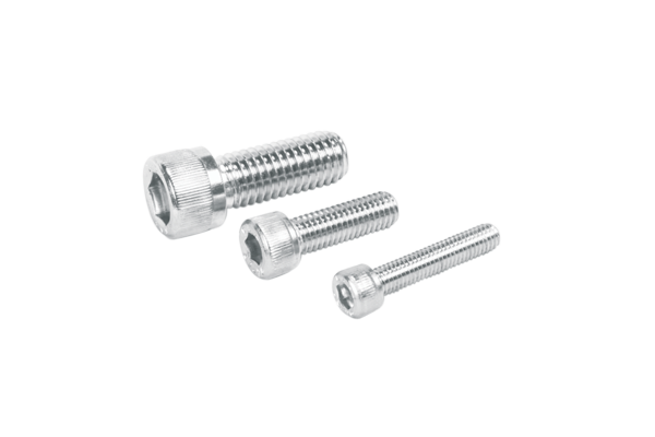 Stainless Steel Nuts