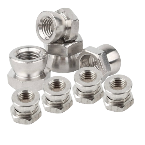 Stainless Steel Nuts