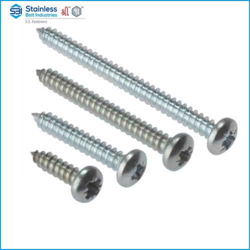 Stainless Steel Nuts