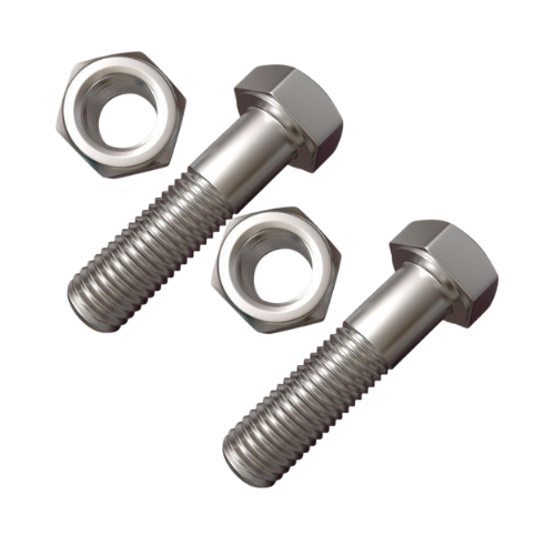 Stainless Steel Nuts