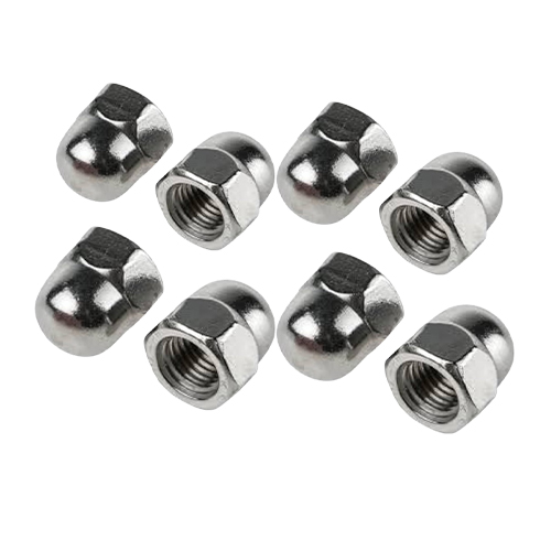 Stainless Steel Nuts