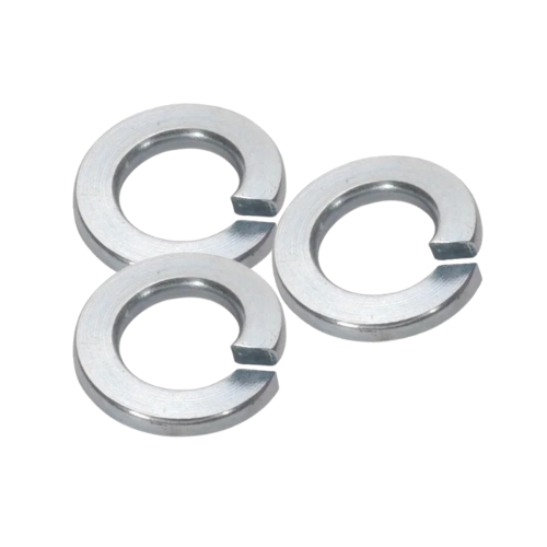 Stainless Steel Nuts