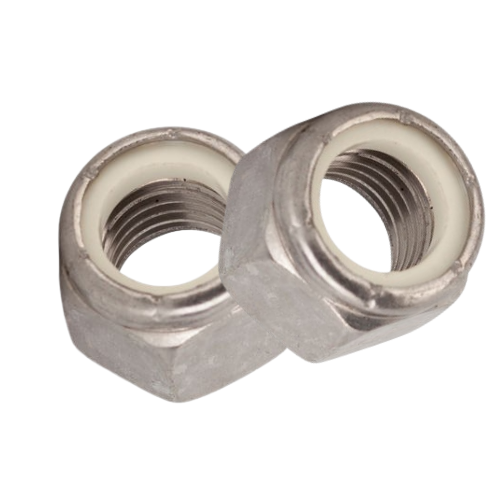 Stainless Steel Nuts