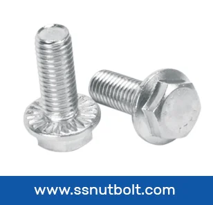  SS Fasteners Manufacturer