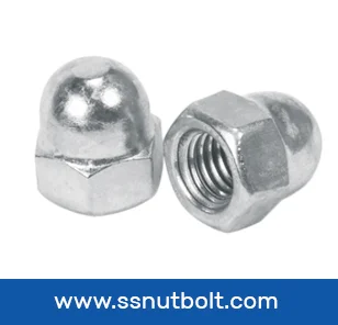 SS Hex Nuts Manufacturer