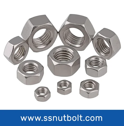 ss hex nut in bahrain