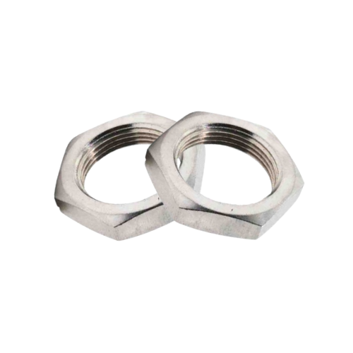 Stainless Steel Nuts