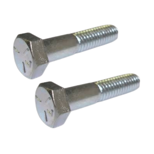 Stainless Steel Nuts