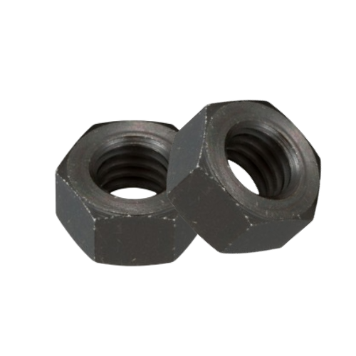 Stainless Steel Nuts